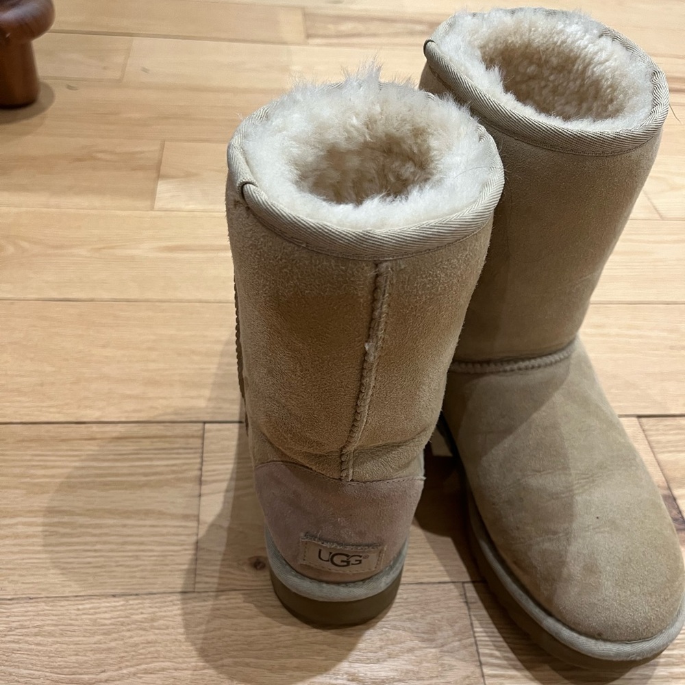 Classic Uggs - image 3